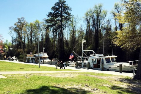 docked boats in dismal swamp canal camden county
