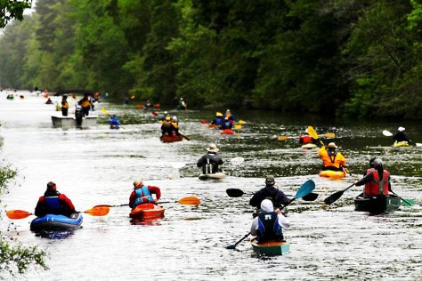 camden county dismal swamp kayak race