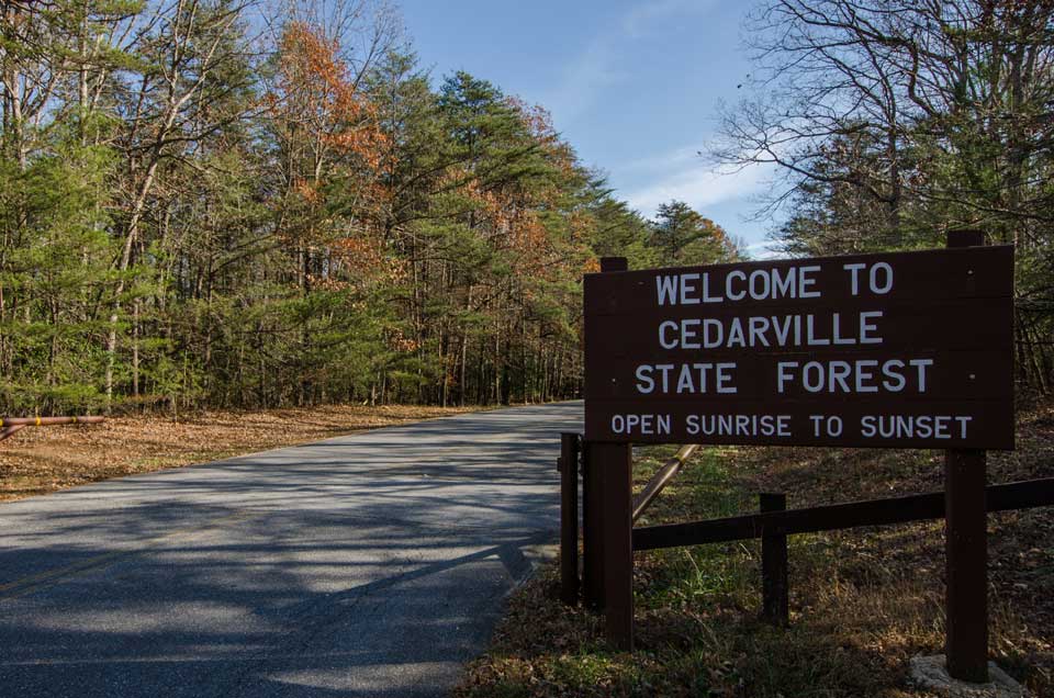 Cedarville State Forest in Waldorf, MD