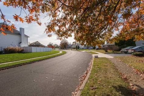 Street with tree in Levittown, PA