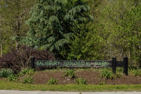 salisbury md zoo