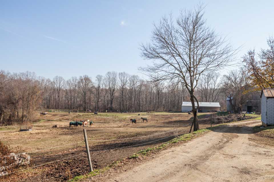 Horse farm in Crofton, MD