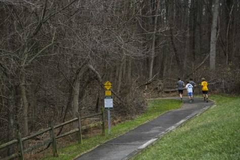 Joggers on trail in Damascus, MD