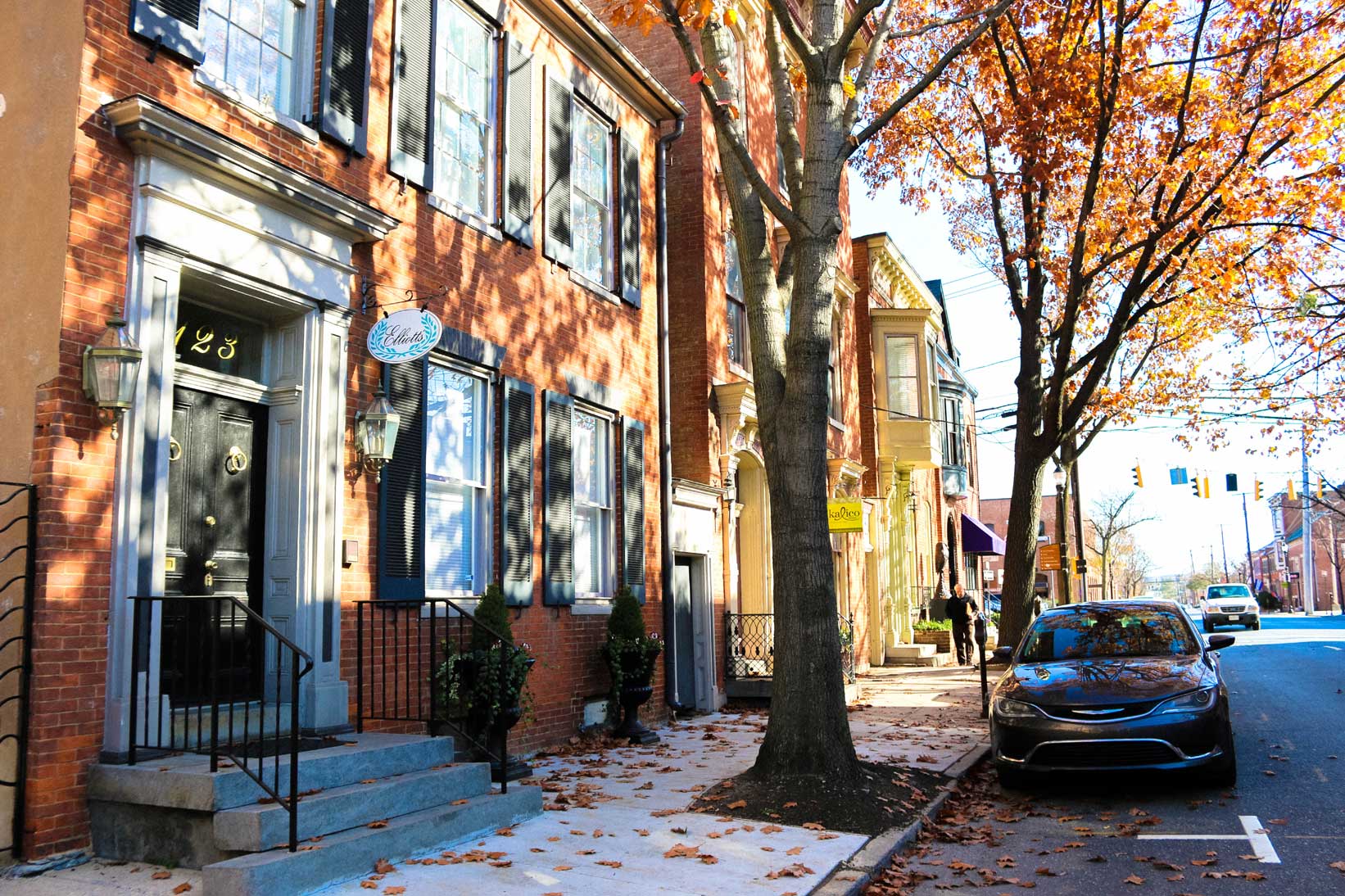 tree-lined street with shops in Frederick, MD