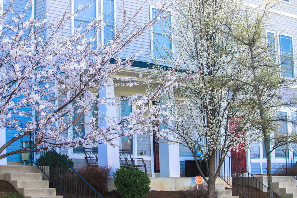 Congress Heights, Cherry Blossoms House