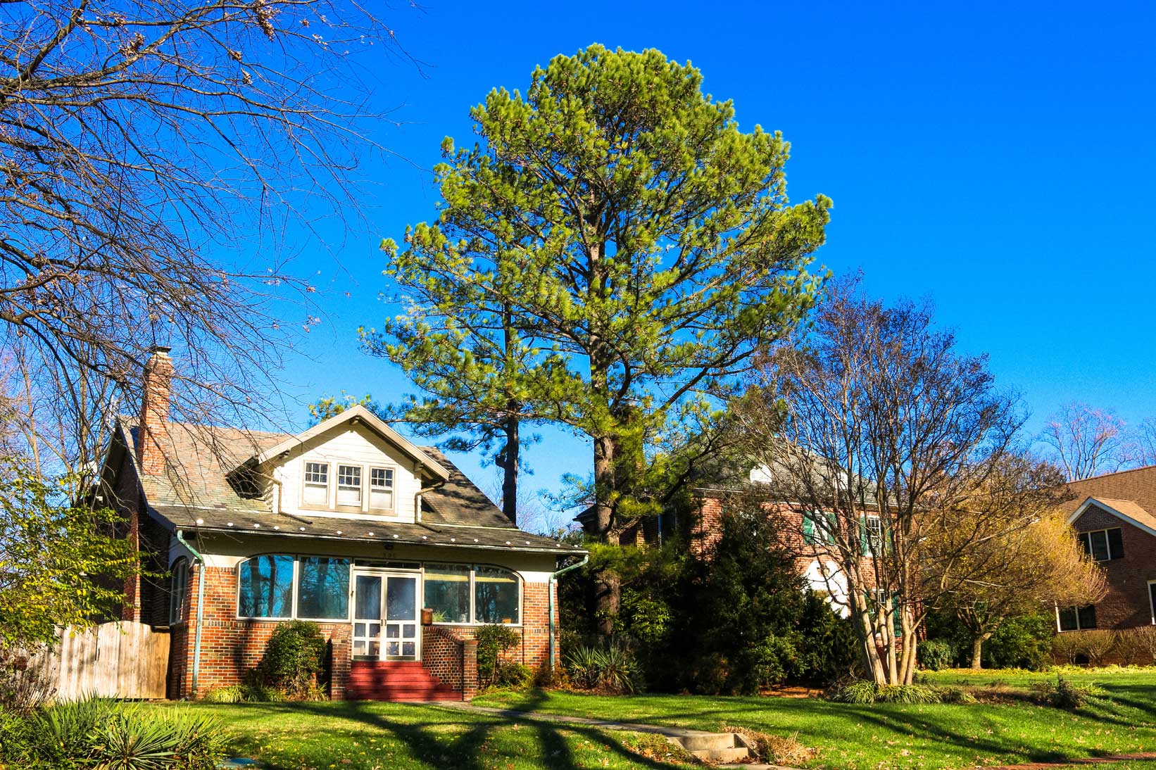 Single family home with tree in Rockville, MD