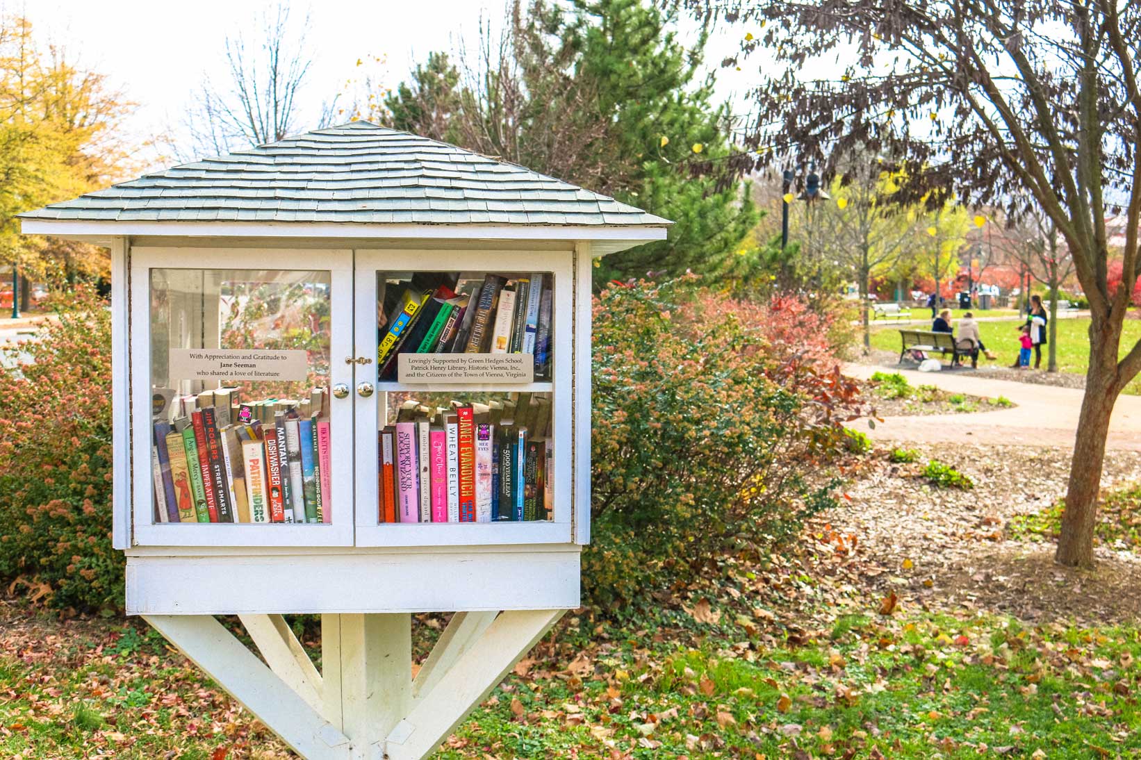 Little free library in Vienna, VA