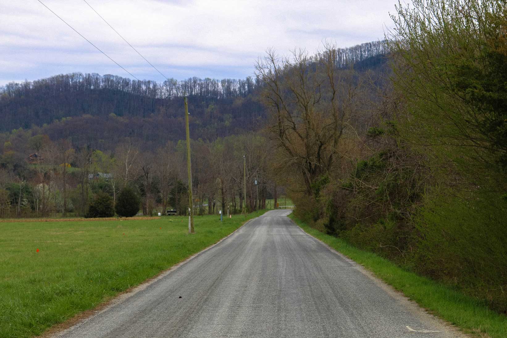 rural road in wintergreen va