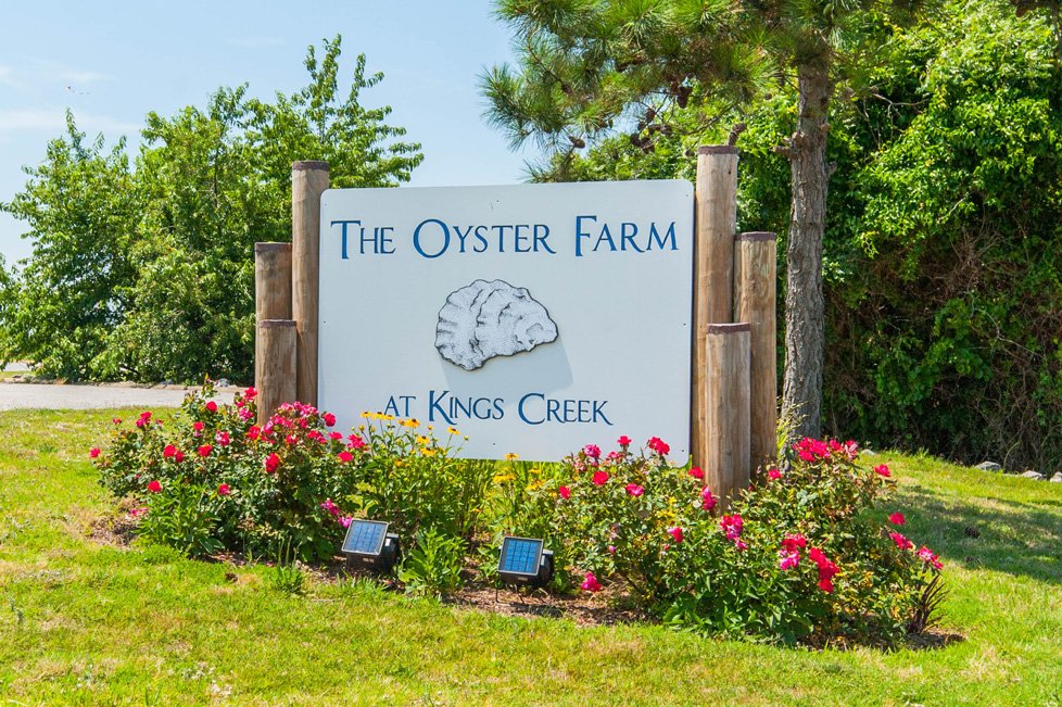 the oyster farm at kings creek cape charles md