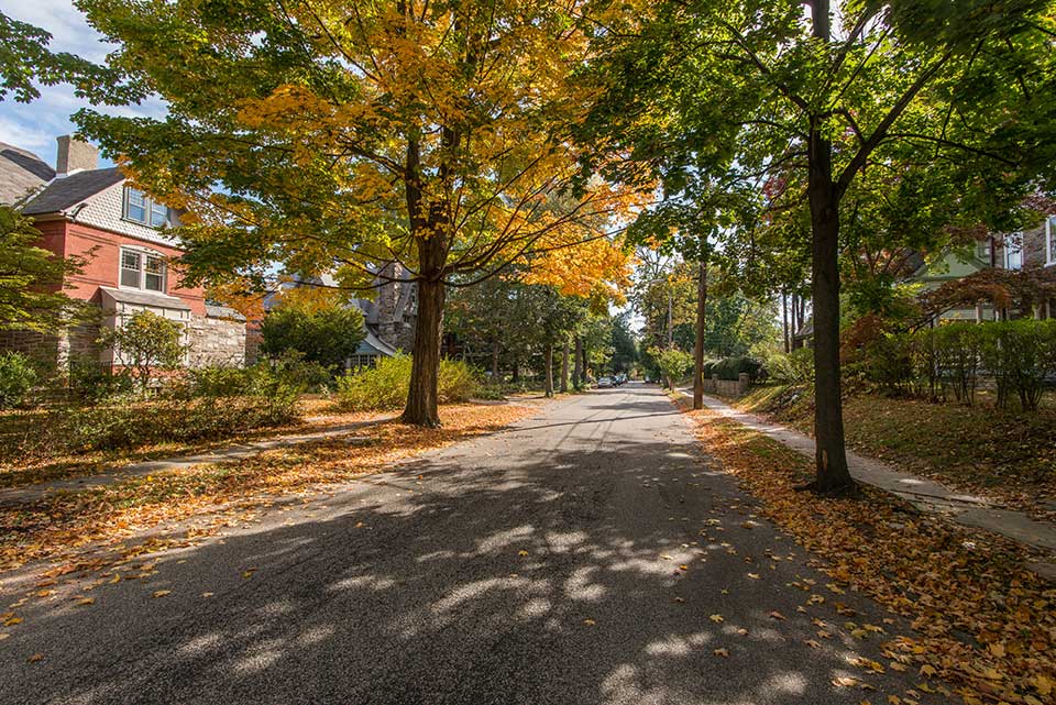 Tree-lined residential street in Mt. Airy, Philadelphia, PA