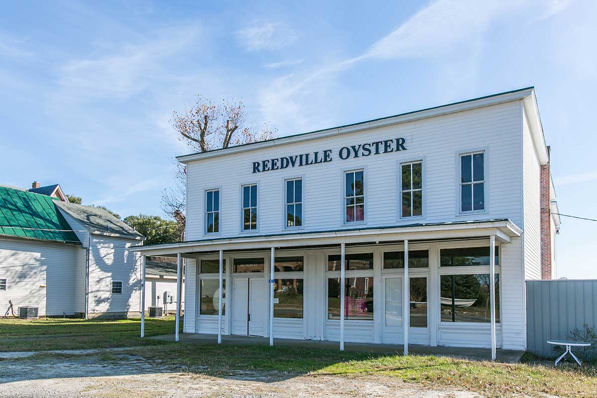 Reedville Oyster in Reedville, VA