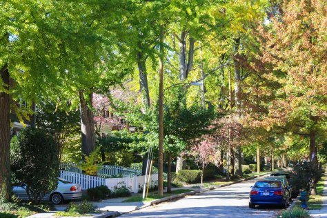 Residential streets in Chevy Chase, Washington, DC